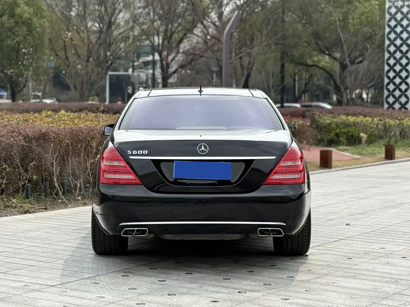 Mercedes-Benz S-Class 2010 2010 S 600 L