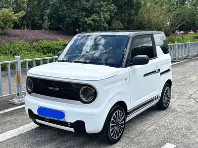 Geely Panda