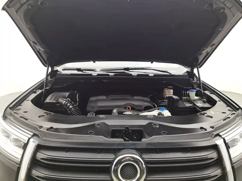 Great Wall Pao 2020 2019 2.0T Automatic Gasoline 2WD Comfort GW4C20B