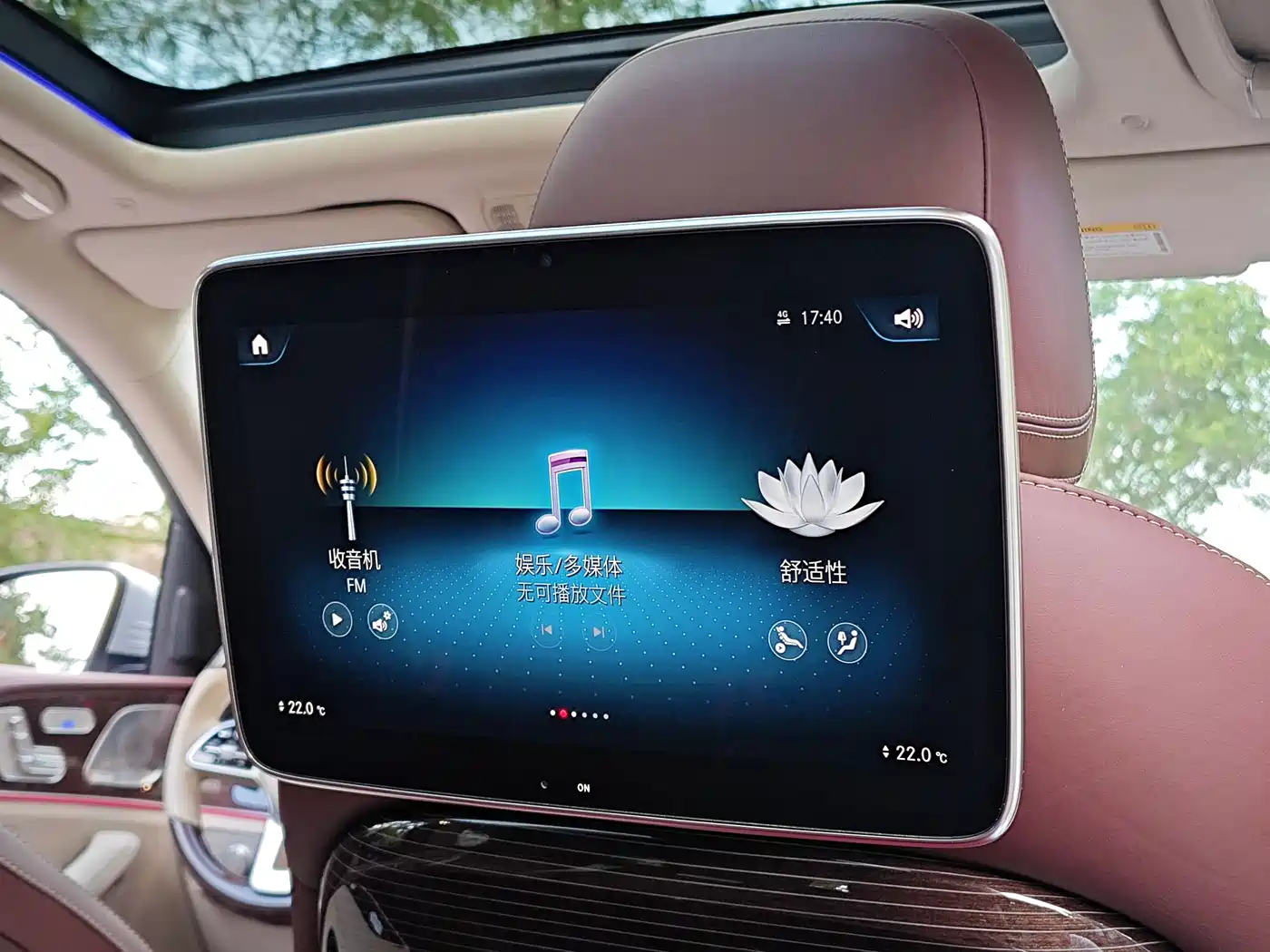 Mercedes-Benz Maybach GLS 2021 GLS 480 4MATIC фото 23