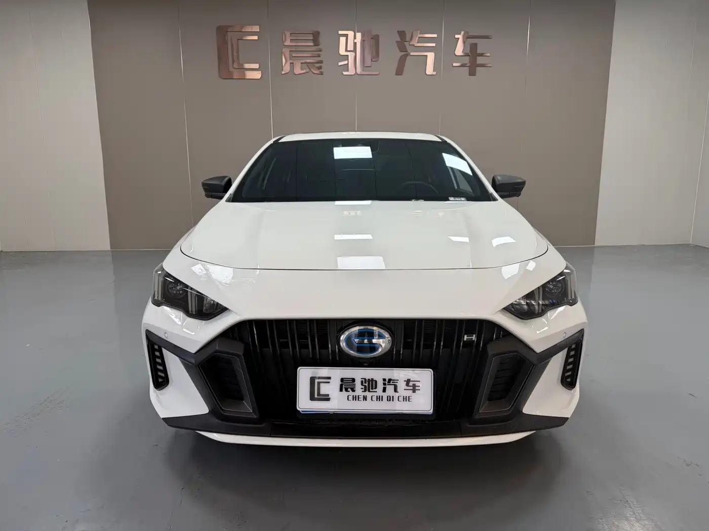 GAC Trumpchi Trumpchi Emkoo 2023 Shadow Leopard H Smart Hybrid фото 2