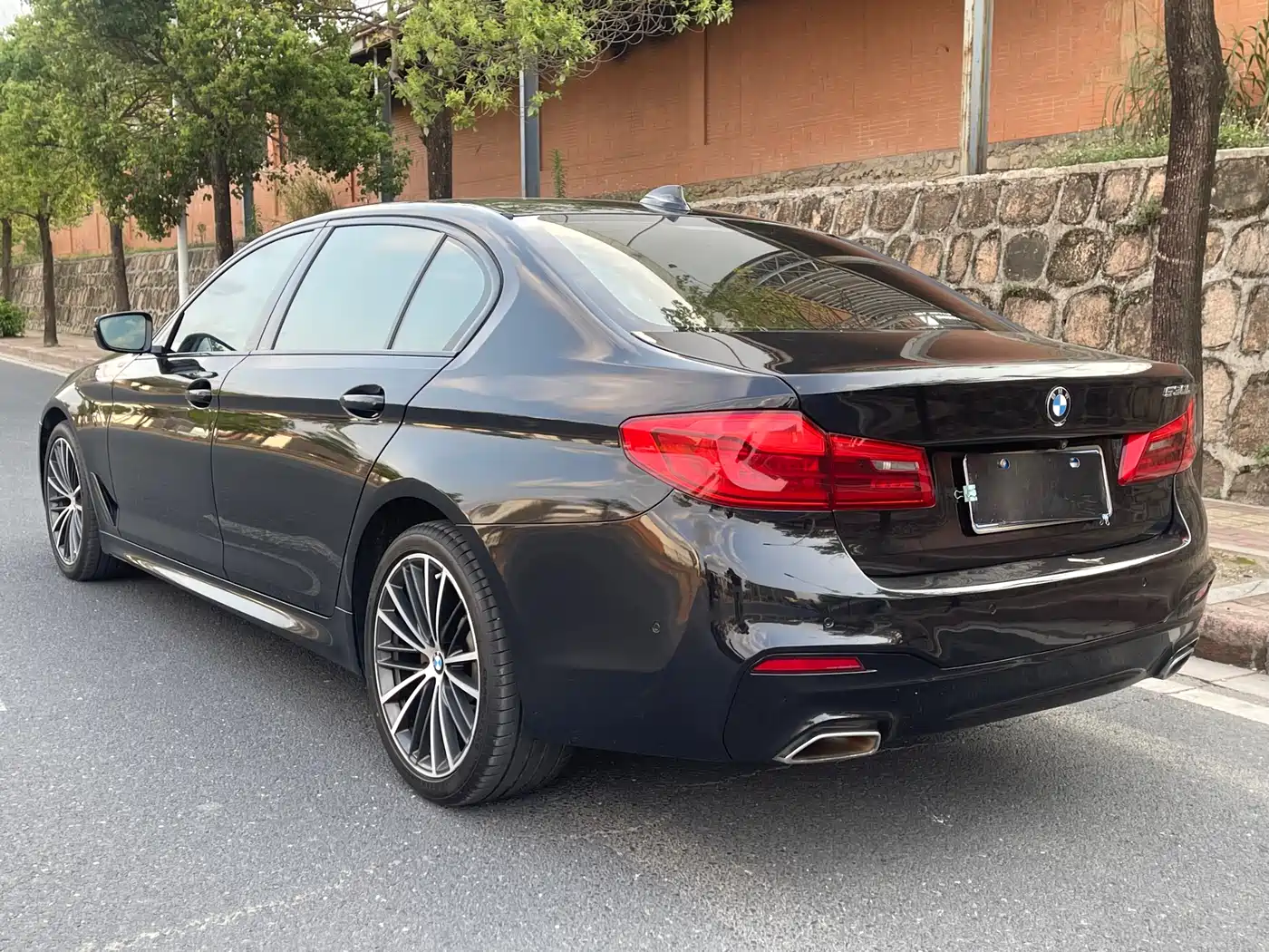 BMW 5 Series 2019 530Li Premium M Sport Package фото 9