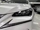 Фото 25 - Lexus NX