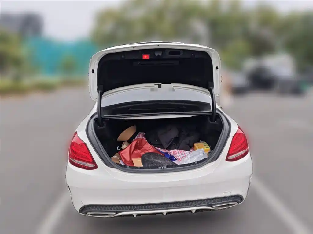Mercedes-Benz C-Class 2018 C 200 L Sport Achievement Special Edition фото 10