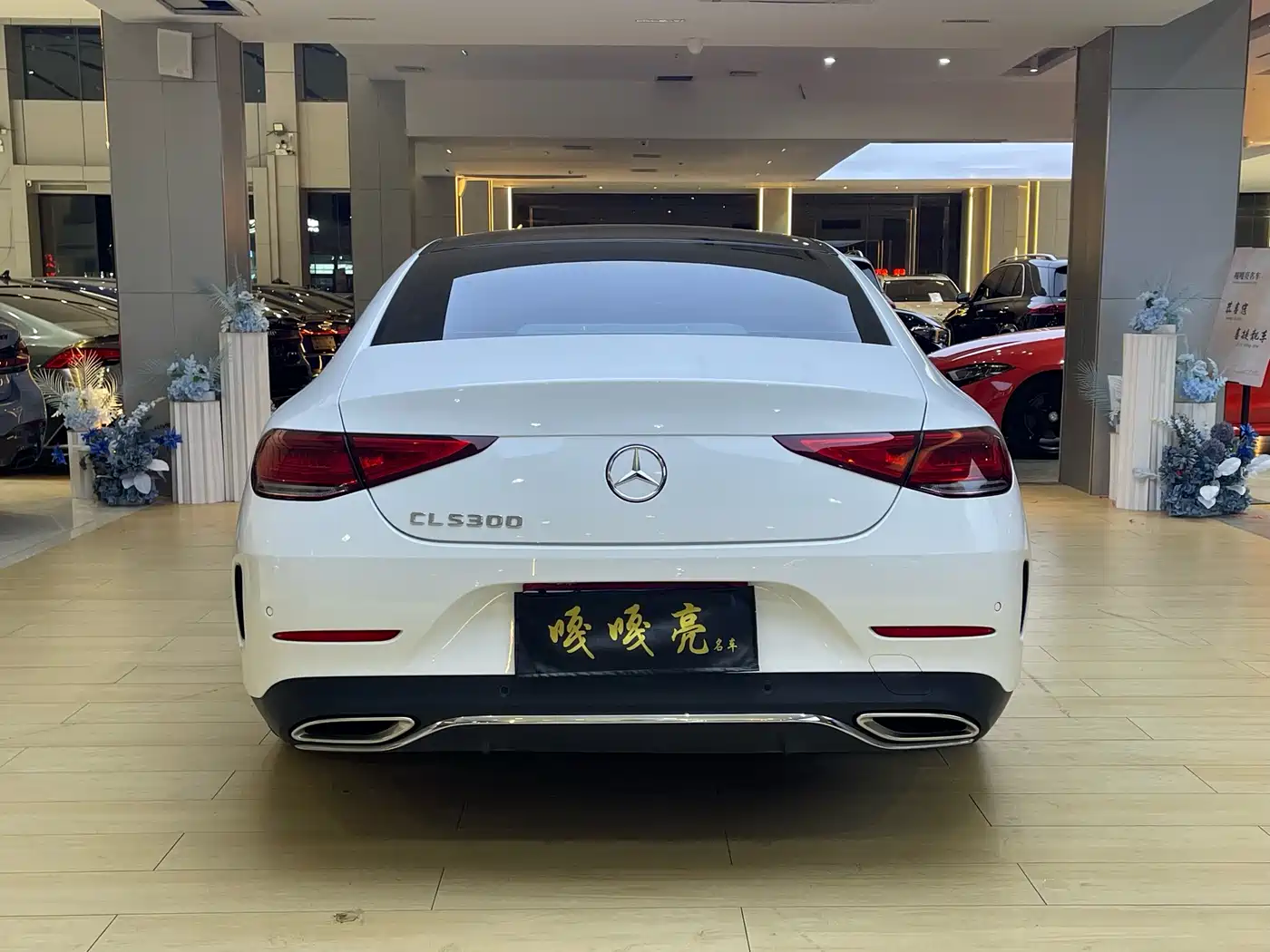 Mercedes-Benz CLS 2023 Model CLS 300 Luxury Version фото 10