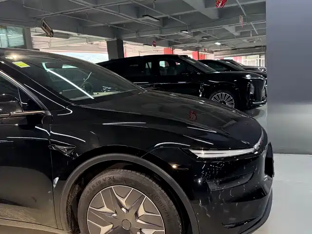 Tesla Model Y L, фото 4