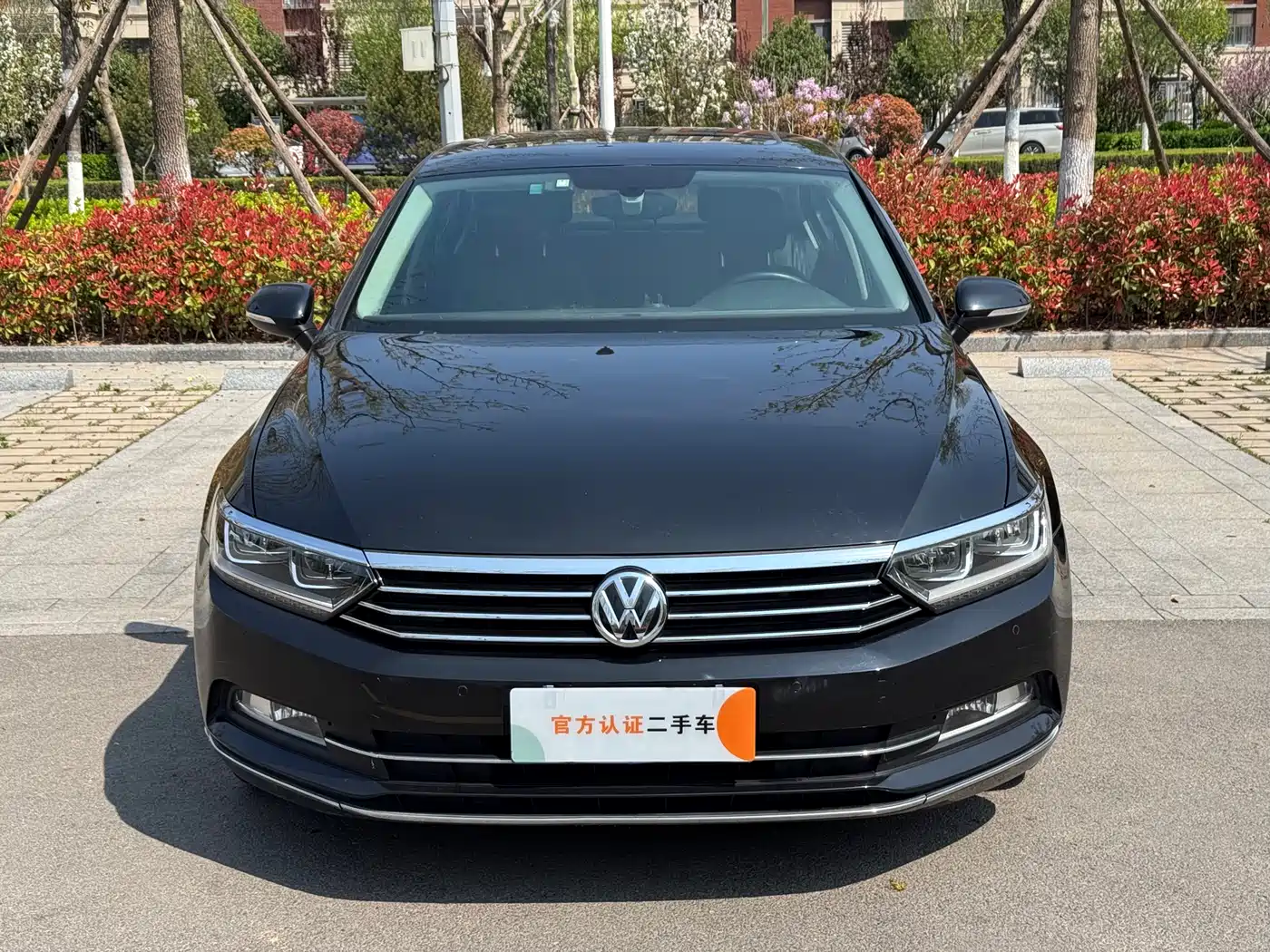Volkswagen Magotan 2017 330TSI DSG Luxury фото 2