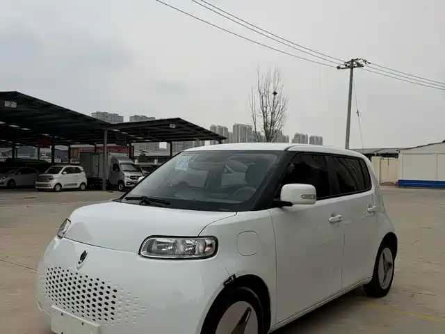  Ora Ora White Cat 2020 360km Luxury Model