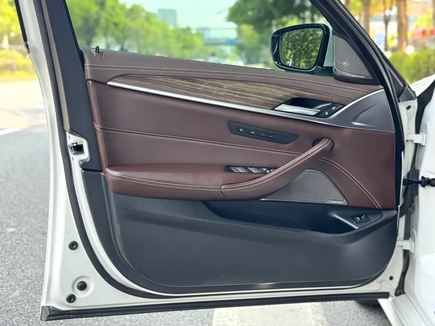 BMW 5 Series 2020 530Li Premium Luxury Package фото 14