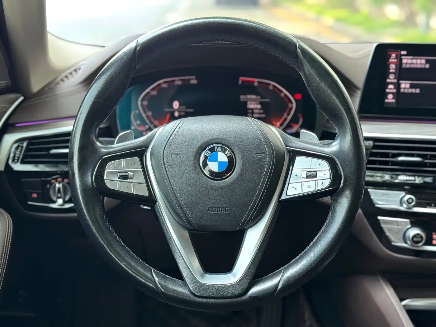 BMW 5 Series 2020 530Li Premium Luxury Package фото 6