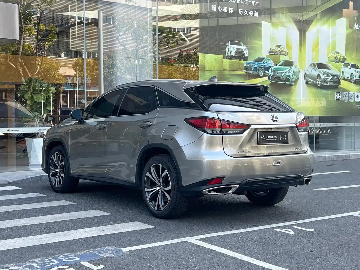 Lexus RX 2021 300 AWD Special Edition фото 12