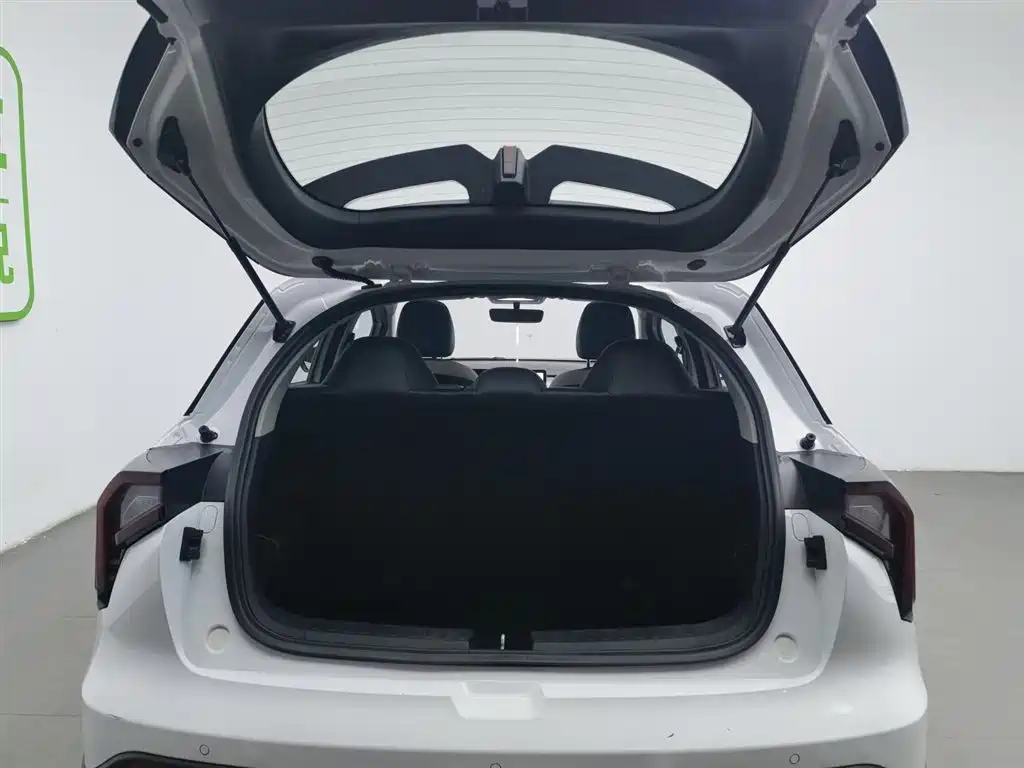 GEELY GEOMETRY E FIREFLY