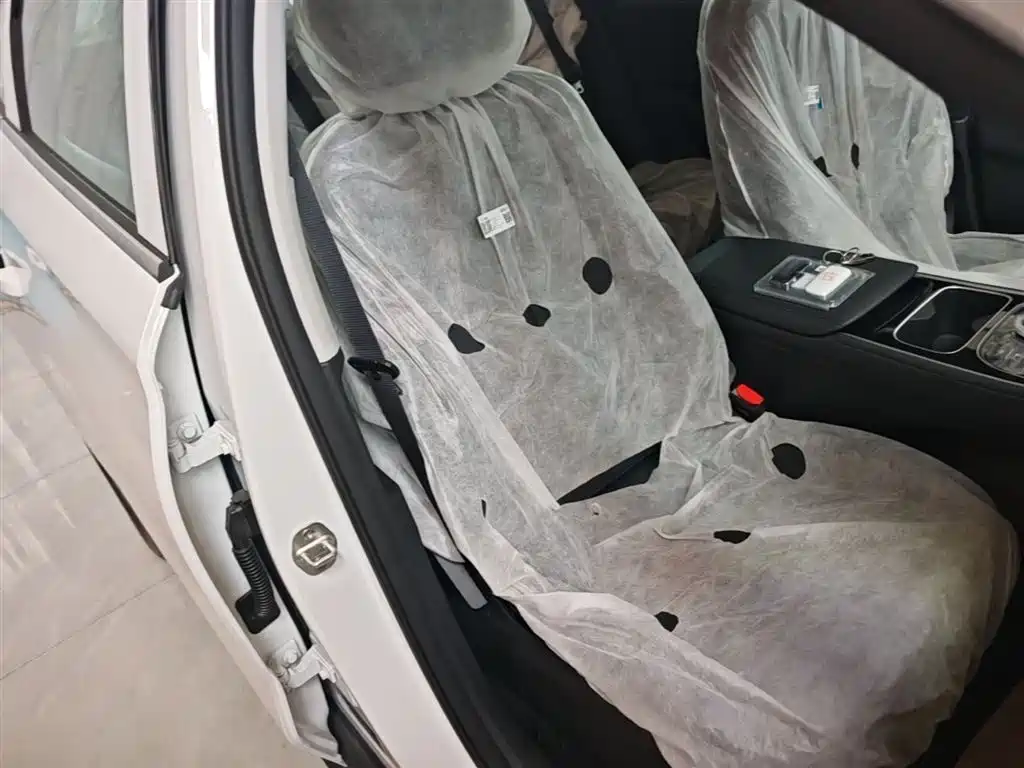 Geely Galaxy Galaxy Stellar 6 2025 Model 60km Free Edition фото 25