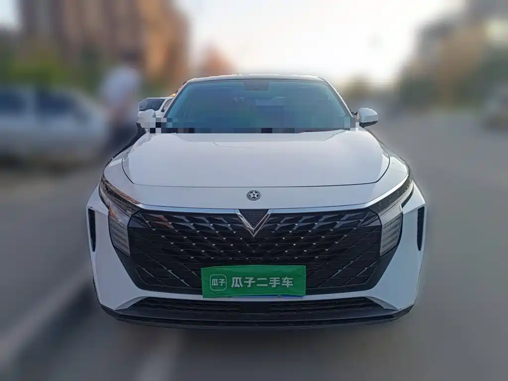 Venucia Big V 2022 2021 260T Idol Edition