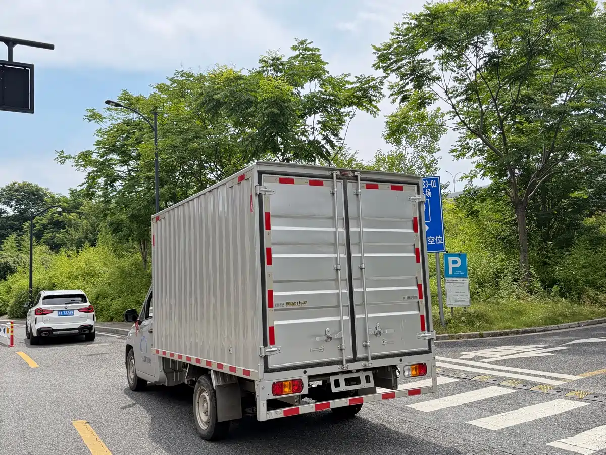 Lingshi Auto Ling Shi Golden Card 2025 2025 Pure Electric Version 260km Container Top Edition