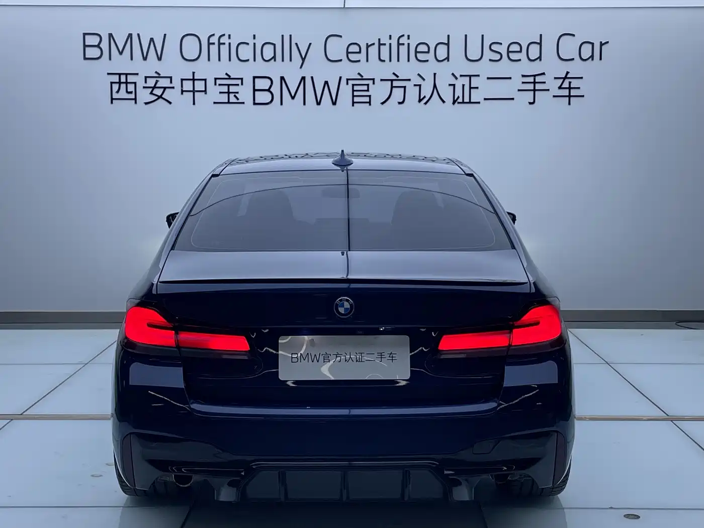 BMW 5 SERIES NEW ENERGY