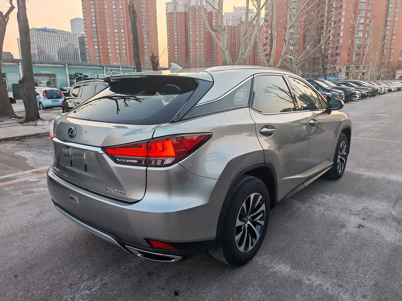 Lexus RX 2020 300 2WD Comfort Edition China V фото 4