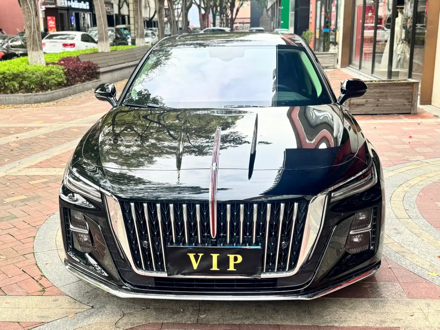 Hongqi H5 2025 1.5T DCT Flag Rhythm 500,000 Units Memorial Edition фото 2