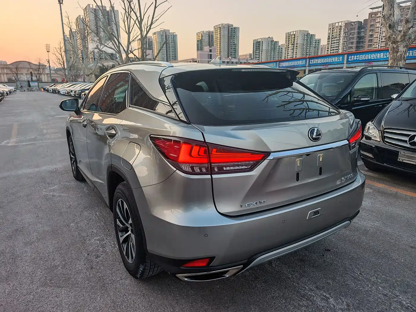 Lexus RX 2020 300 2WD Comfort Edition China V фото 6