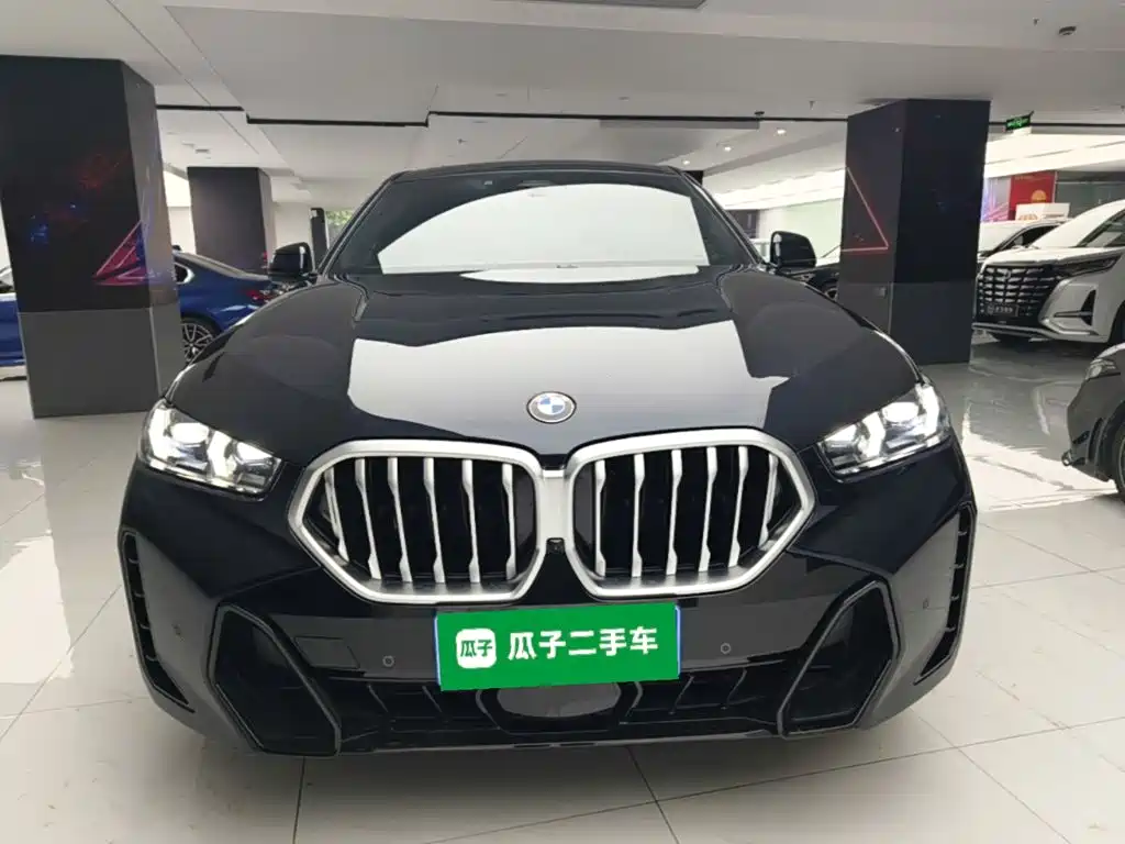 2025 BMW X6