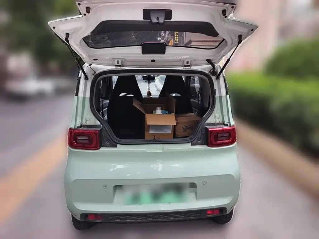 Photo 10 - Wuling Motors Hongguang MINIEV