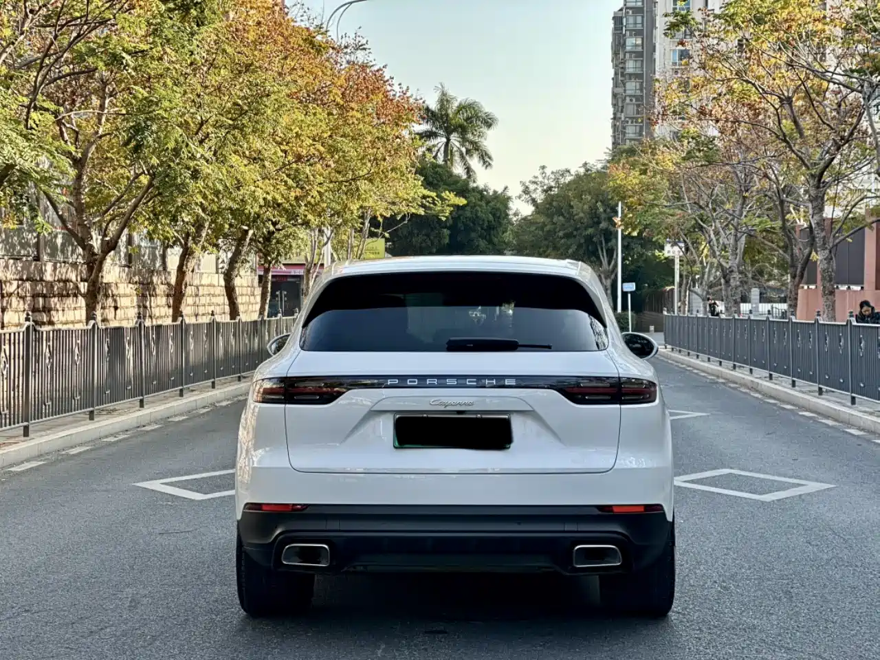 Porsche Cayenne New Energy 2023 Cayenne E-Hybrid 2.0T Platinum Edition фото 8
