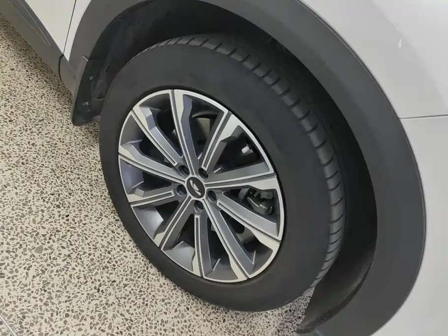 Chery Fengyun Fengyun T9 2025 2024 120 Long Range Comfort 5-seater NMC