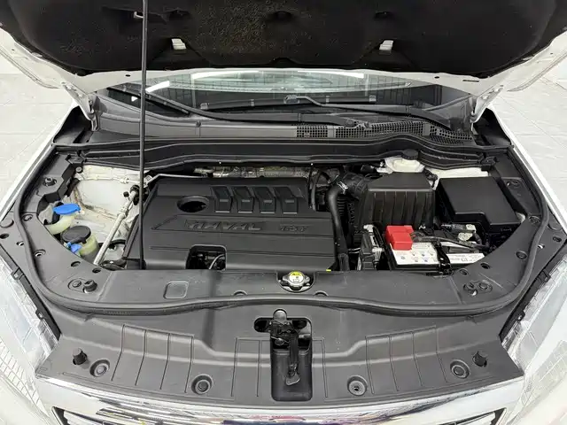 Haval H6 2019 Sport 1.5T Automatic 2WD Elite (China VI) фото 15