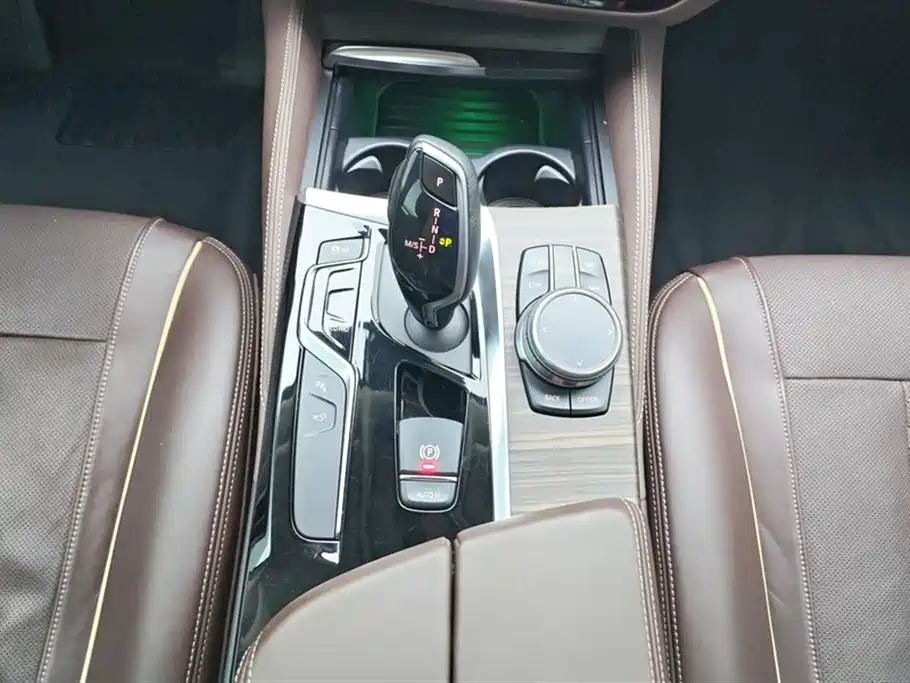 BMW 5 Series 2019 530Li Premium Luxury Package фото 16
