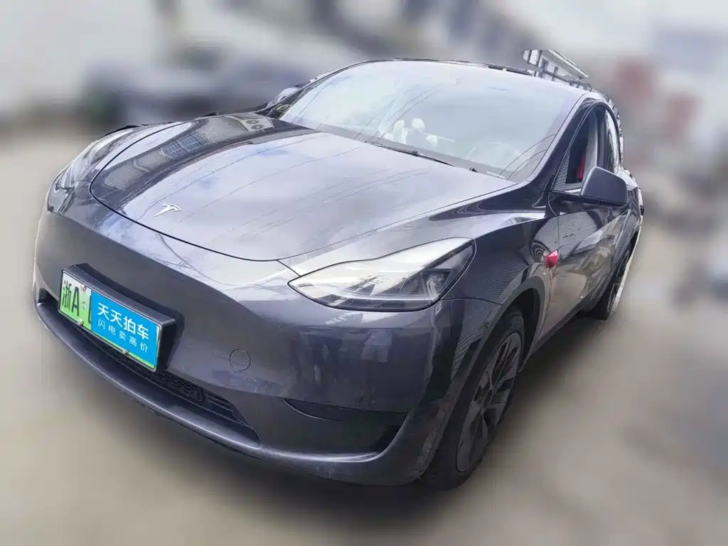 Tesla Model Y 2024