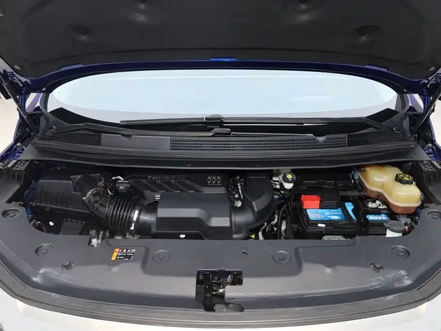 Buick Century 2023 2.0T 6-Seat World Edition фото 12