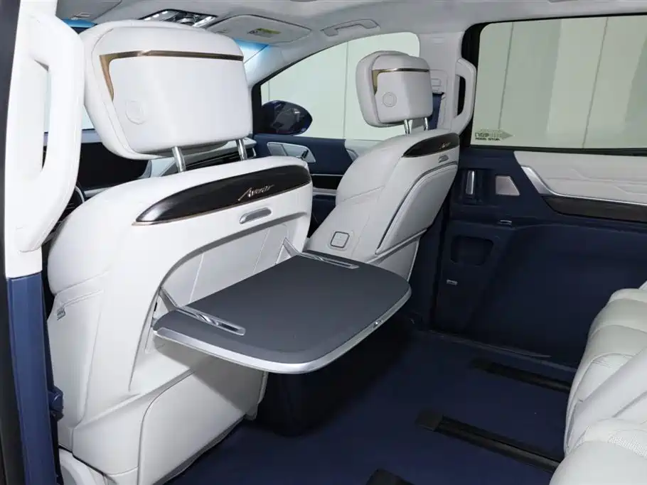 Buick Century 2023 2.0T 6-Seat World Edition фото 19