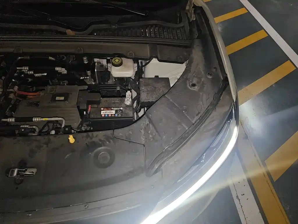 BYD Yuan UP 2024 2024 401KM Surpass Edition