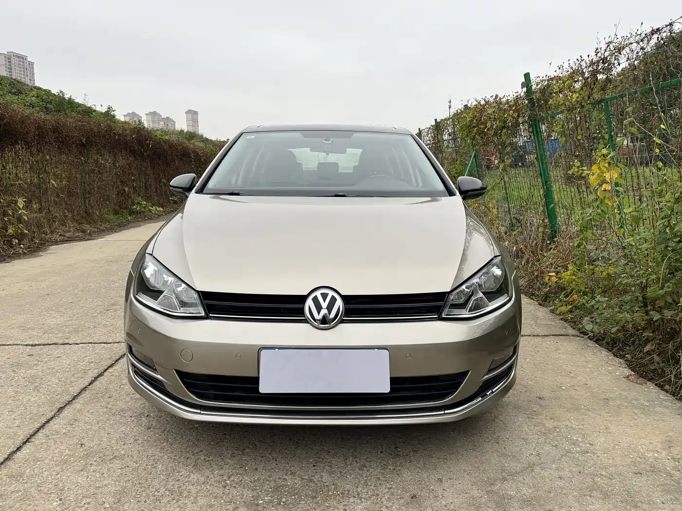 Volkswagen Golf 2017 230TSI Auto Comfort Millionth Anniversary Edition фото 2