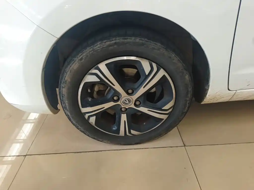 Changan Benben E-Star 2020 2020 Heartbeat Edition (NMC Battery)
