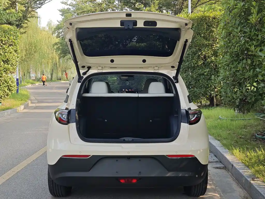 Geely Galaxy Starry Wish 2026 2026 Model 310km Dream Edition