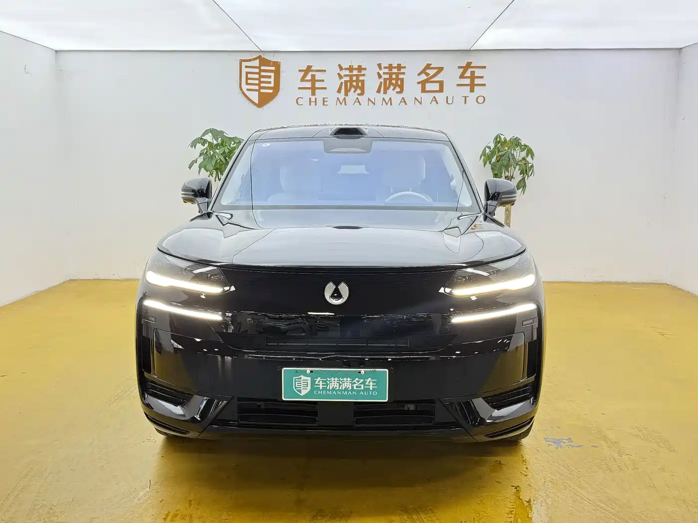 Denza N9 2025 2025 Model Prestige Edition
