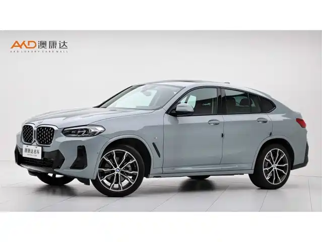 BMW X4 2022 xDrive 30i M Sport Package