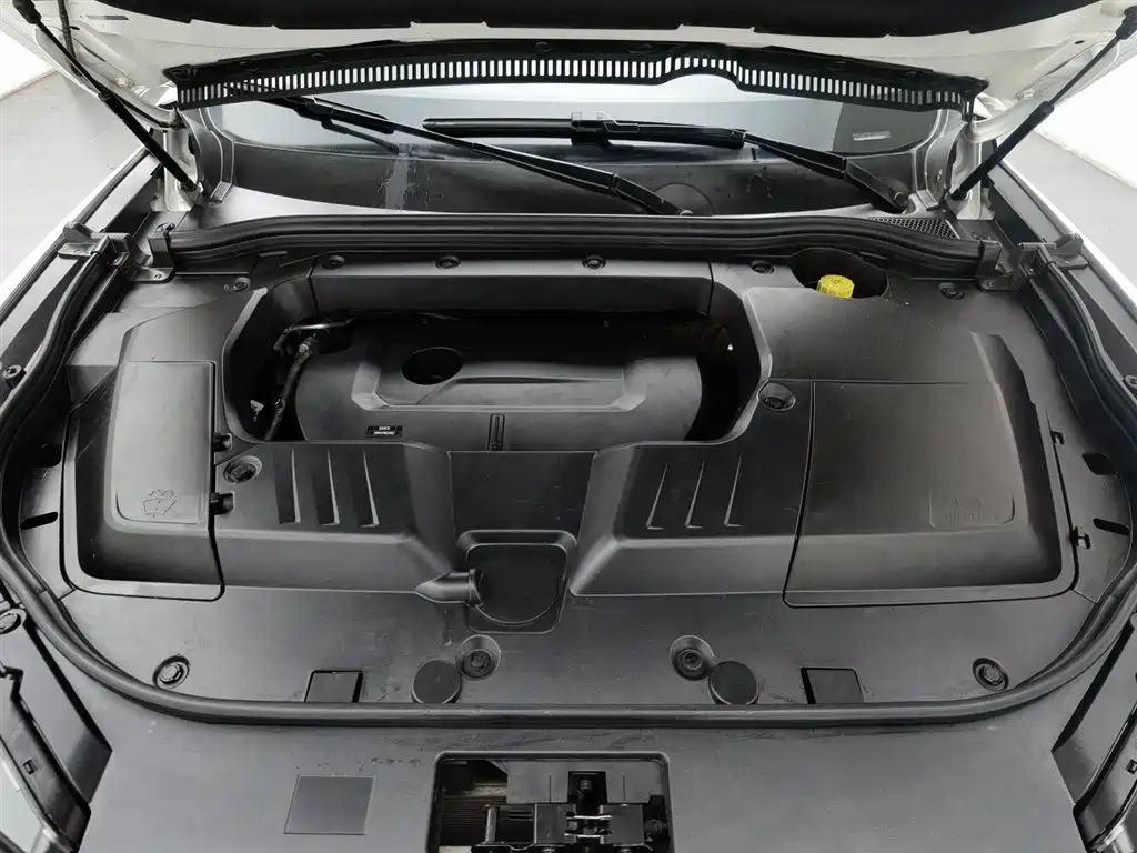 WEI PAI WEI BRAND VV6