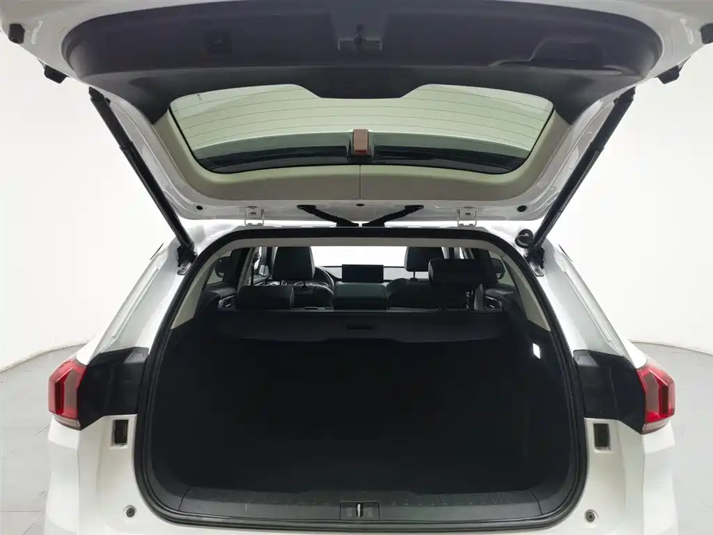 WEI PAI WEI BRAND VV6