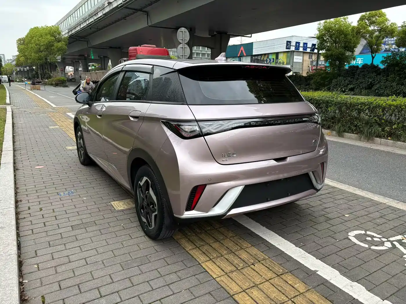 BYD DOLPHIN