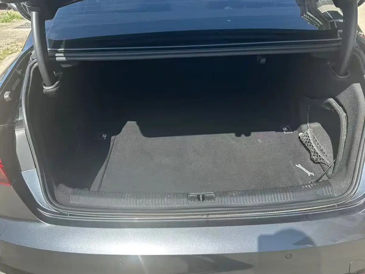 Audi A4L 2020 40 TFSI Luxury Dynamic фото 8