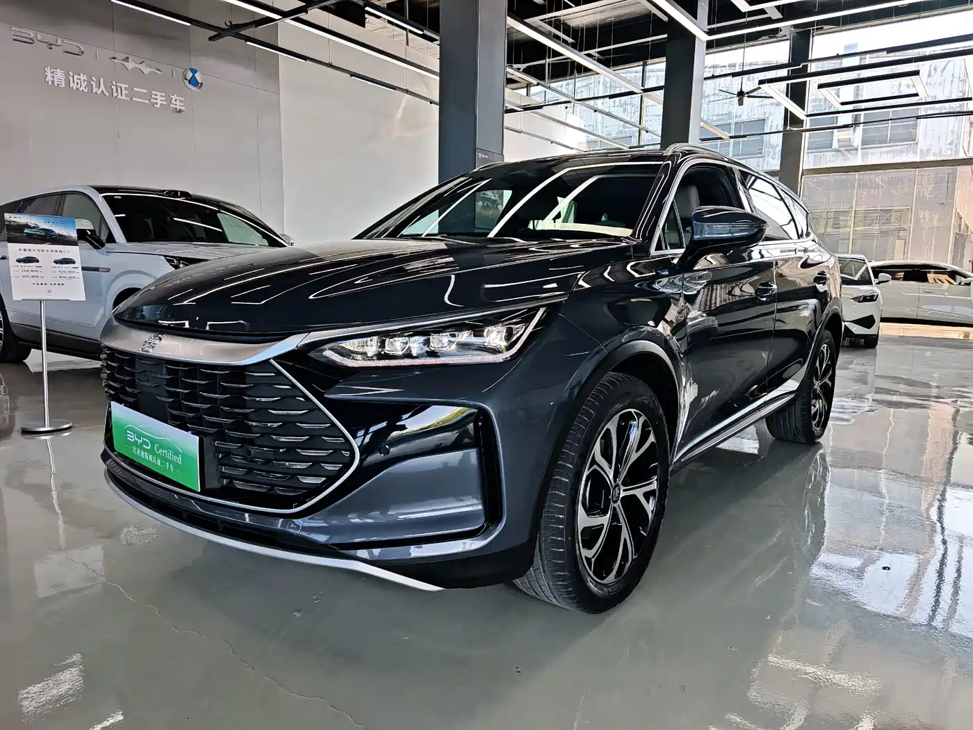 BYD Tang New Energy 2025