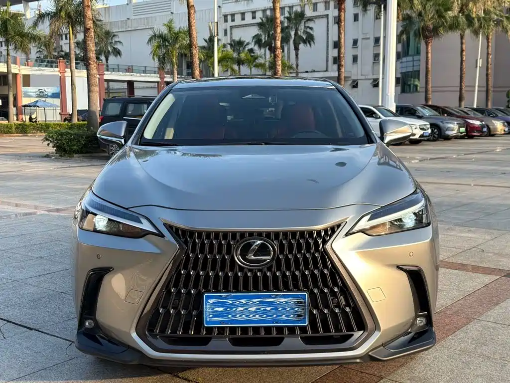Lexus NX 2023 2022 260 FWD Joy Creation Edition