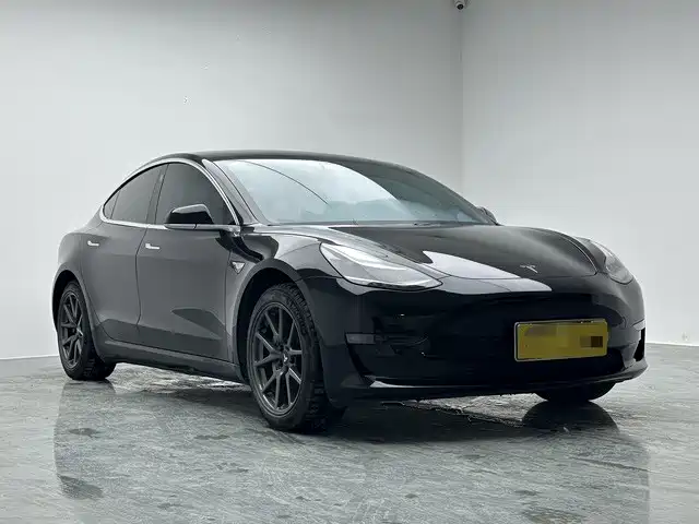 Tesla Model 3 (Import) 2019 2019 Long Range RWD Version