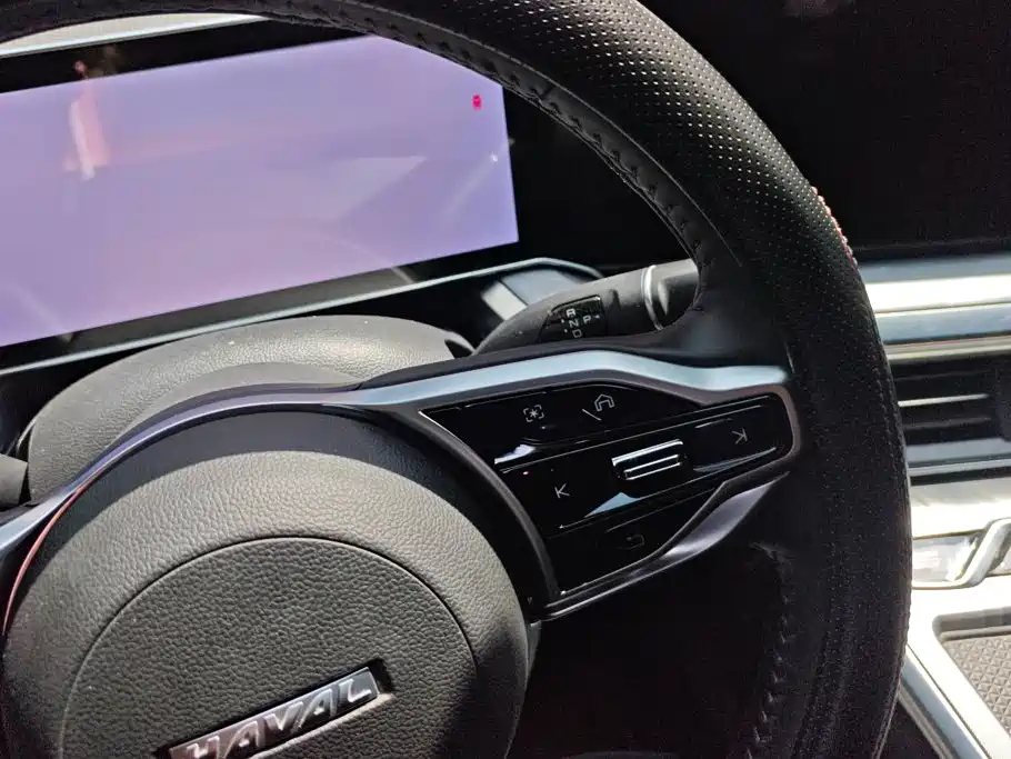 Haval Shenshou 2023 2022 1.5T Smart Enjoyment Edition
