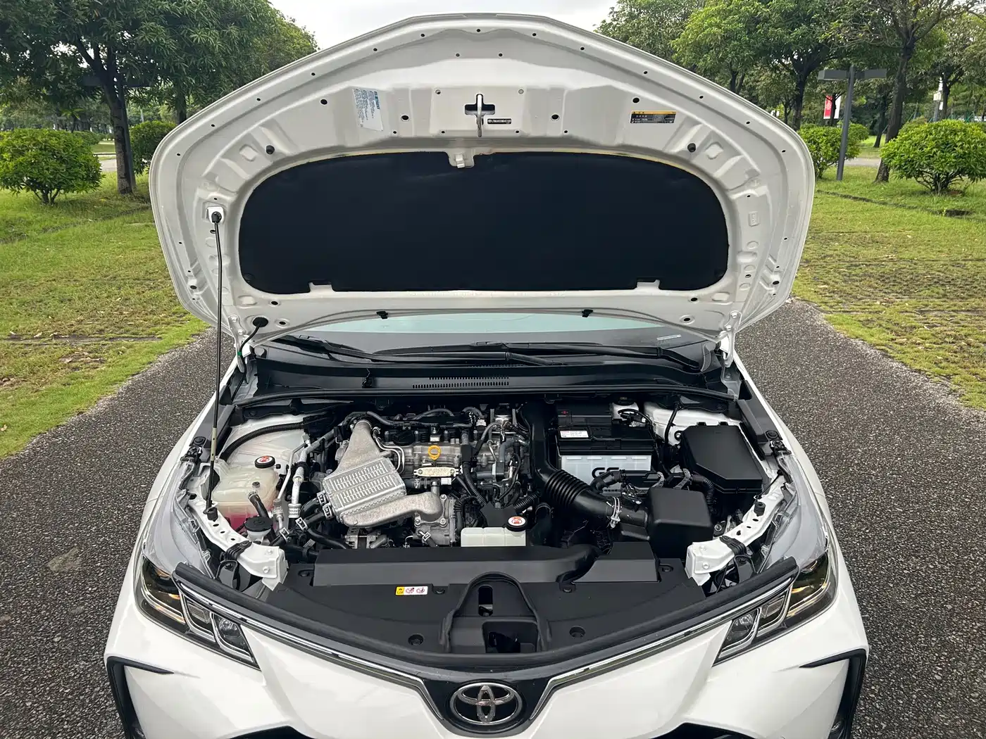Toyota Corolla, миниатюра 19