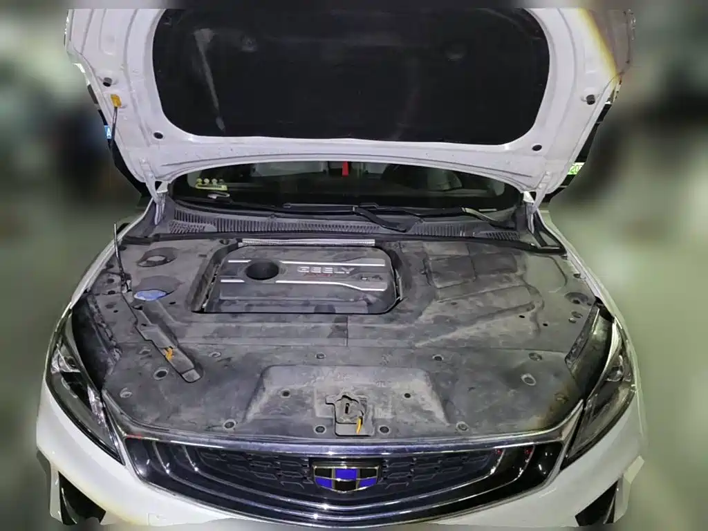 Фото 3 - Geely Binrui