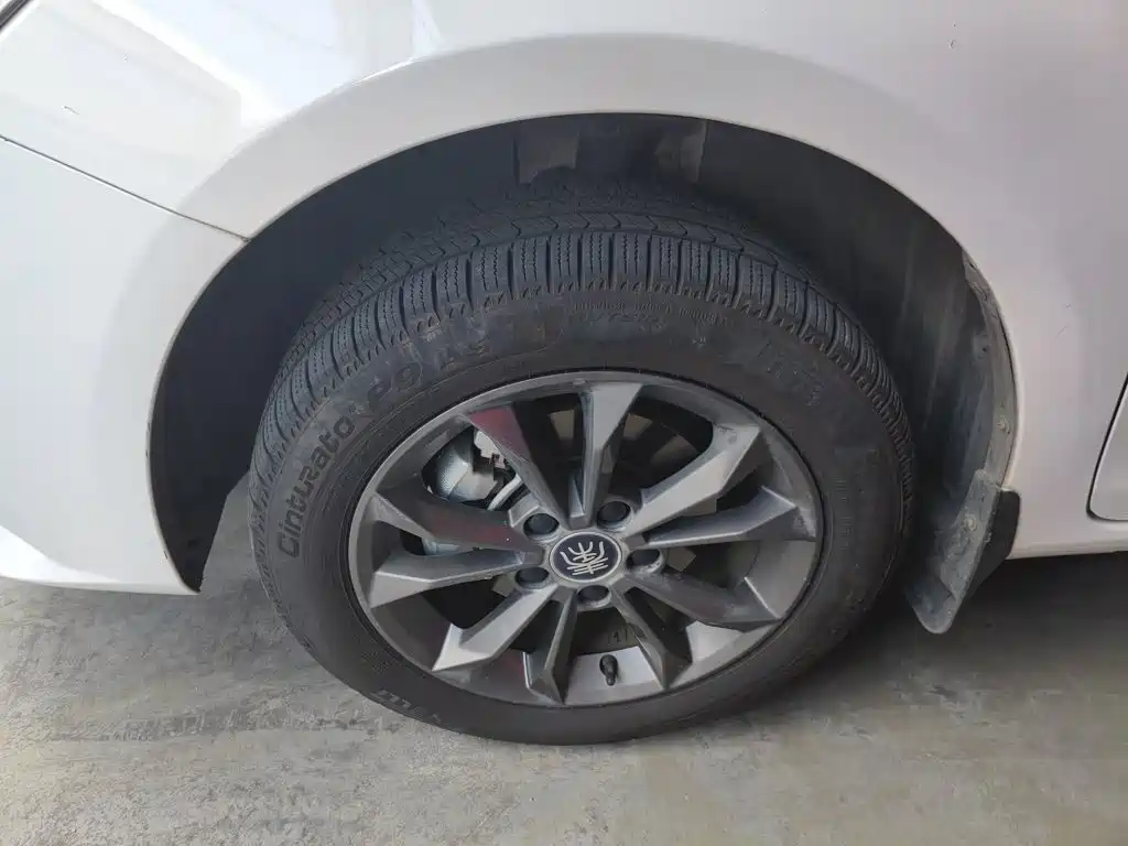 BYD Qin New Energy 2022 2021 Standard Edition
