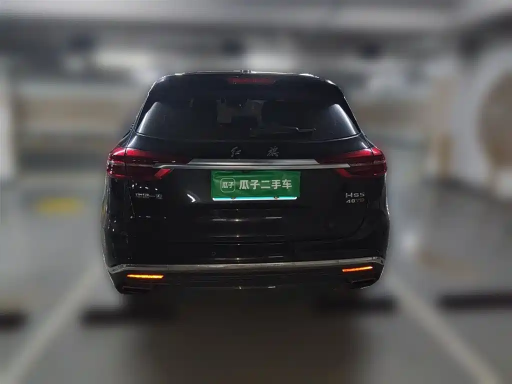 Hongqi HS5 2019 2.0T Smart Connect Enjoy Edition фото 12